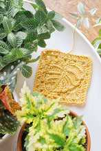 Load image into Gallery viewer, Flirty Foliage Monstera