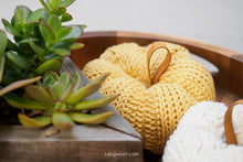 Load image into Gallery viewer, Tunisian Ribbed Pumpkin