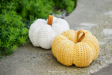 Load image into Gallery viewer, Tunisian Ribbed Pumpkin