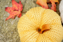 Load image into Gallery viewer, Tunisian Ribbed Pumpkin